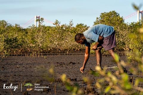 Ecologi Eden Reforestation Tree Planting Projects